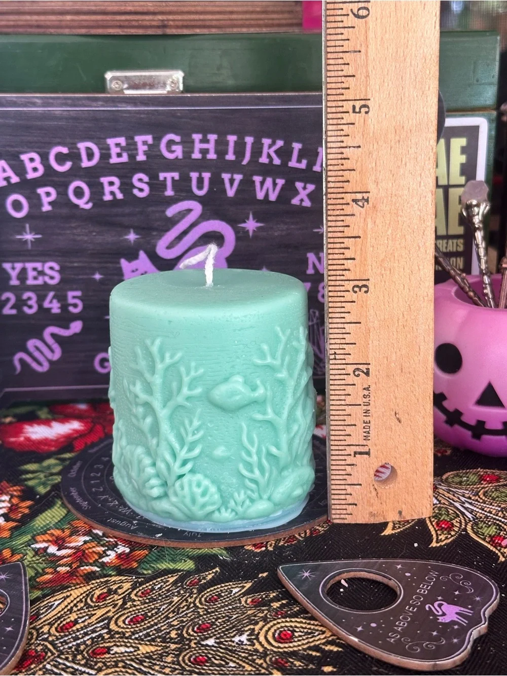 Sea Life Pillar Candle | Ocean Candle | Coastal Beach Decor
